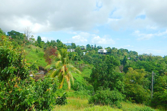 view to the village of Savanne Paille